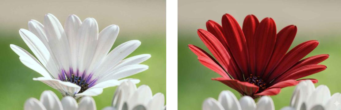 Change the white flowers in the image to red flowers