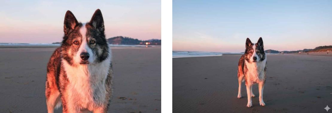 Extend the composition of an image featuring a dog on the beach