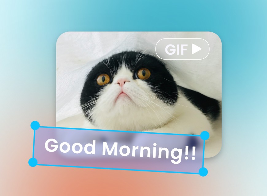 Add meme text Good Morning to the cat gif