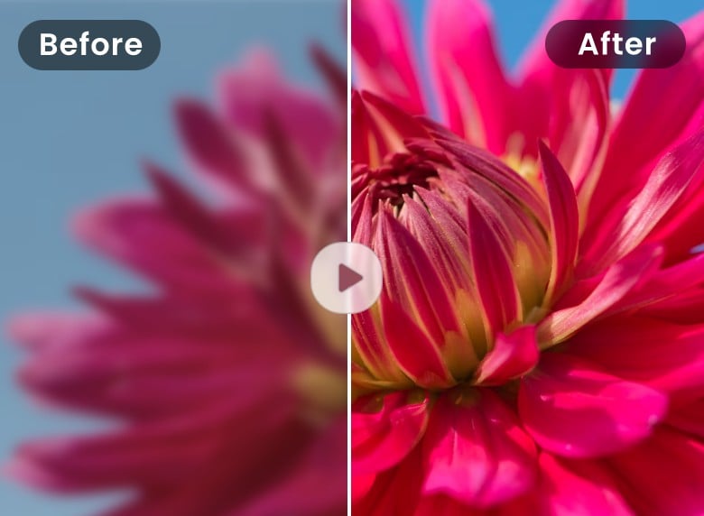 ferramenta de desfoque de vídeo Clipfly com flor