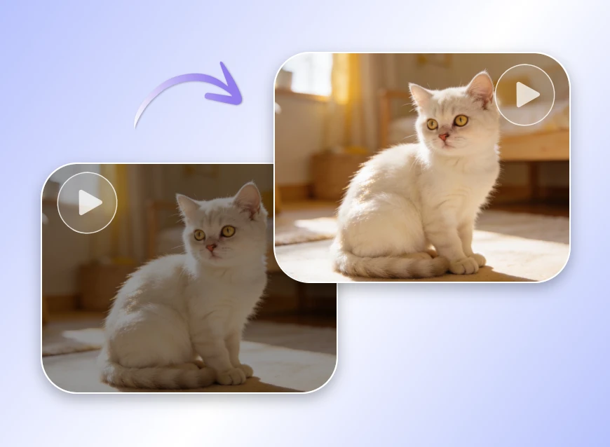 Cliplfy AI video enhancer before and after comparison