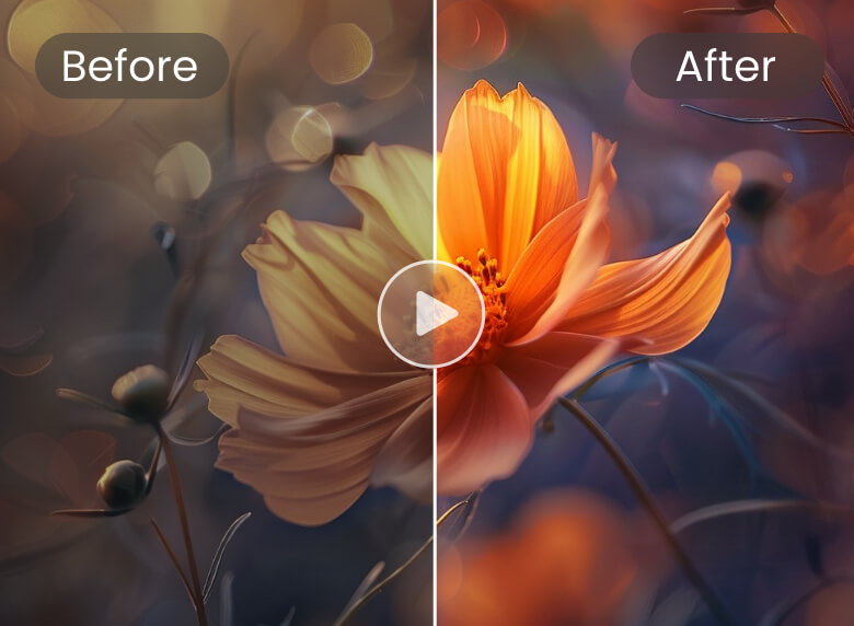 Enhance an orange flower video with clipfly video enhancer