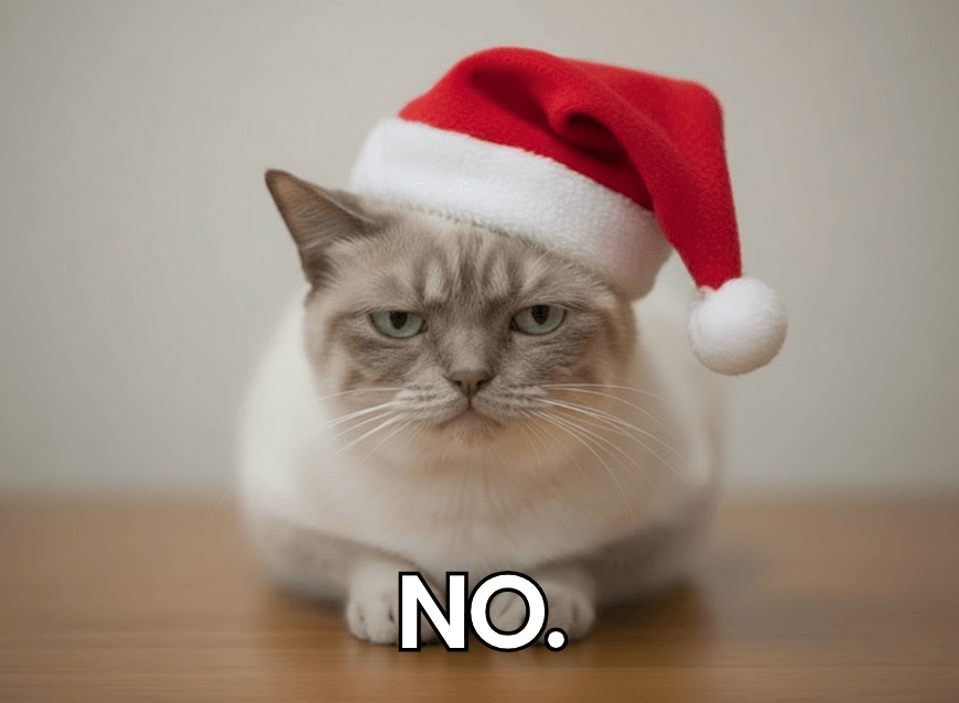 Añade un gorro de Papá Noel a una foto de un gato y conviértela en un meme