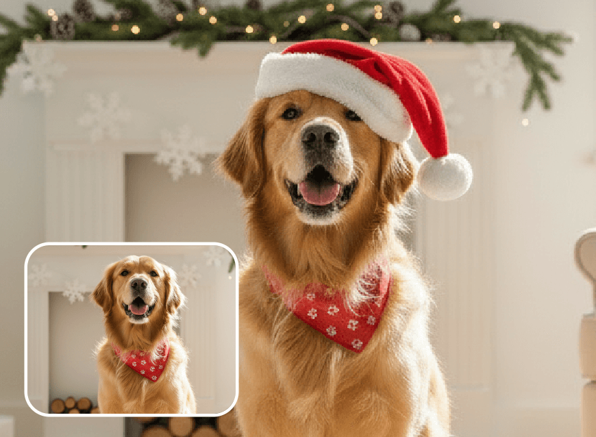 Añadir gorro de Papá Noel a un perro de pelo dorado