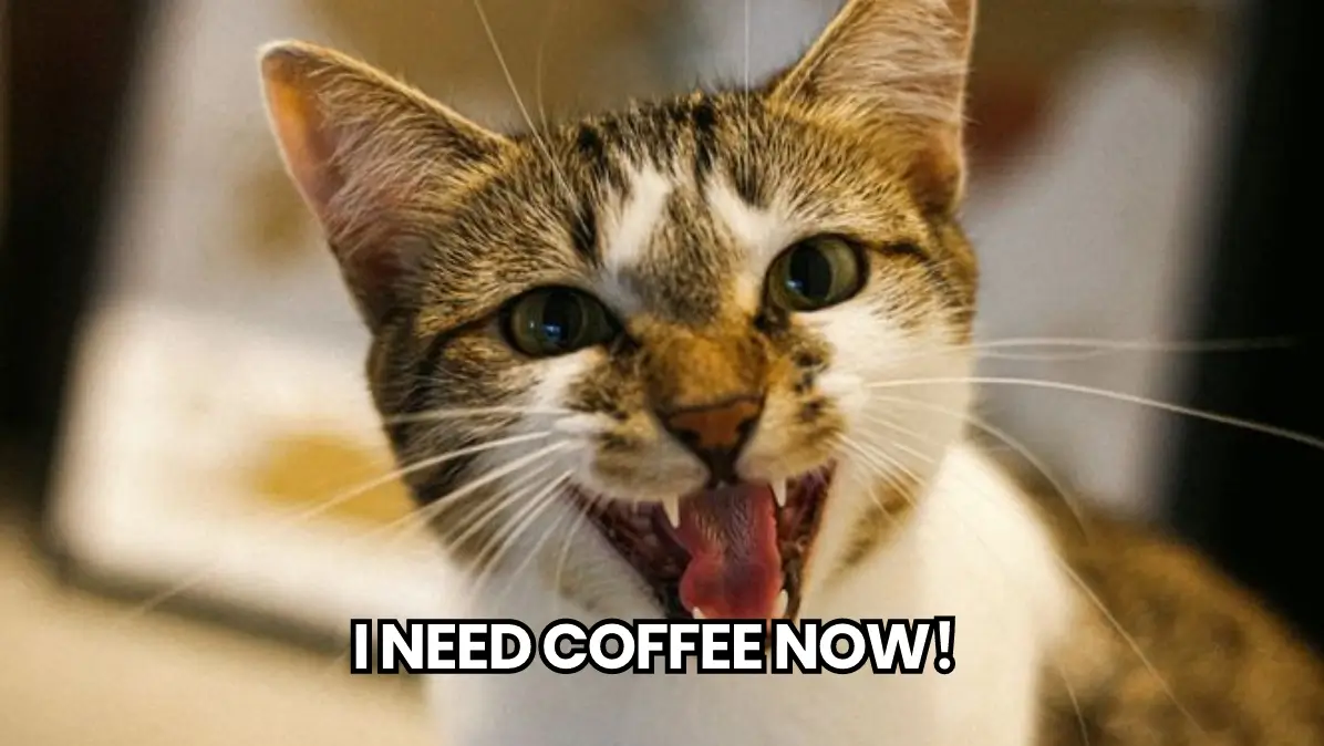 Ai cat meme featuring a howling cat