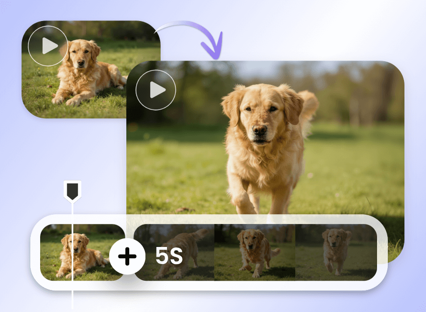 Ai extend a video of a gold hair dog