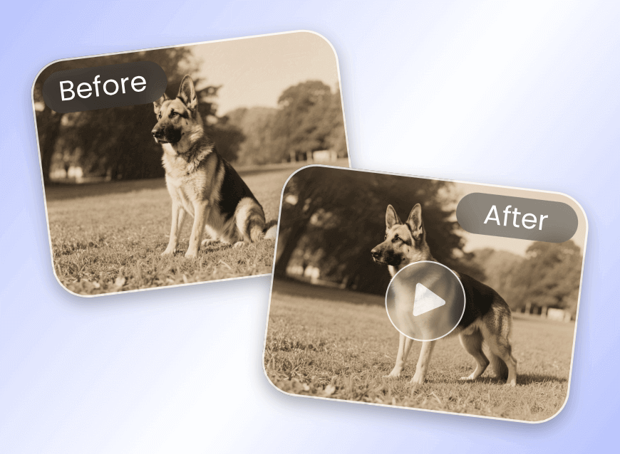 Animate an old photo of a pet dog