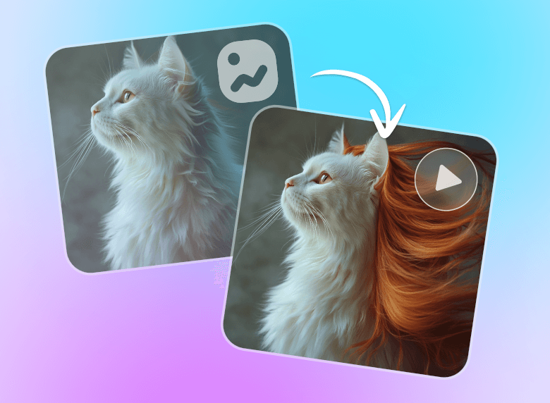 Apply ai long hair filter to generate human hair for the cat