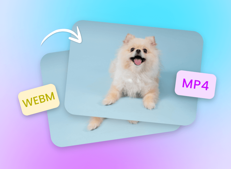 Converter um vídeo webm de um cachorro para o formato mp4