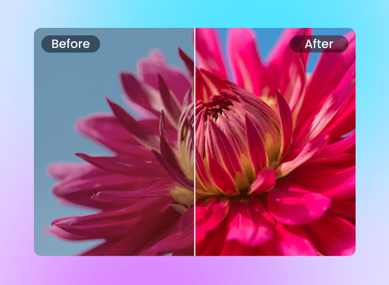 Correct the video color of the flower with clipfly