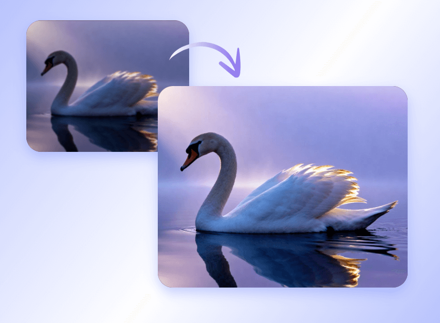 Enhance the quality of a swan on a lake with nano banana ai