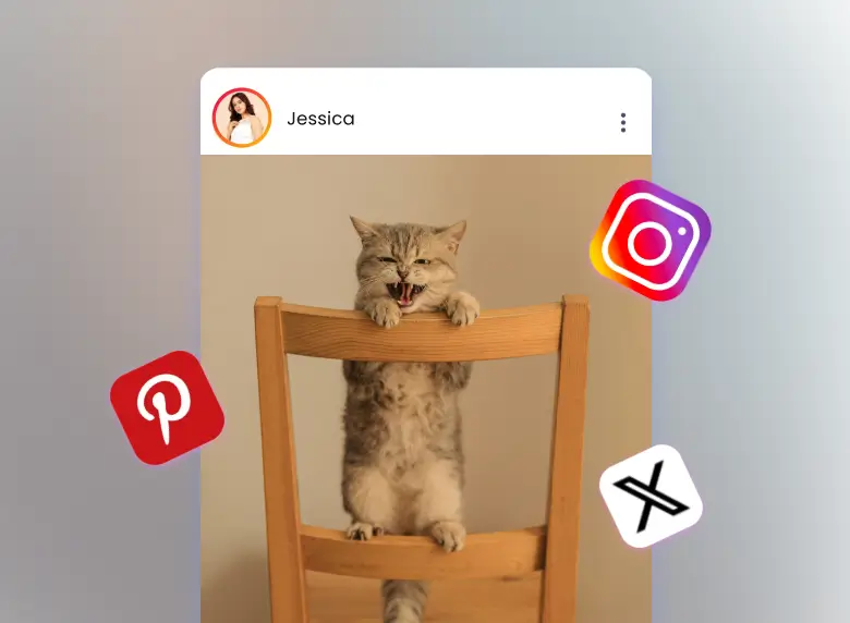 Generate an ai cat meme and share it to your social media channel
