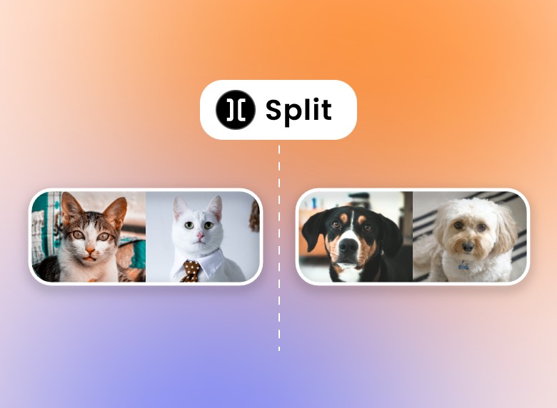 Split a pet video with video splitter