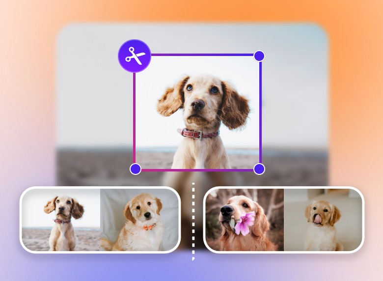 Step 2 cut the video into clips or adjust the framing