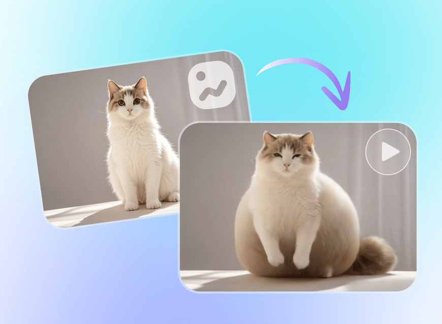 Step two apply the ai body infation effect to the cat