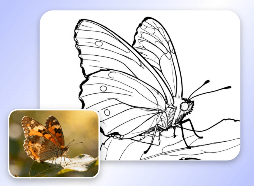 Turn a butterfly photo into a line drawing