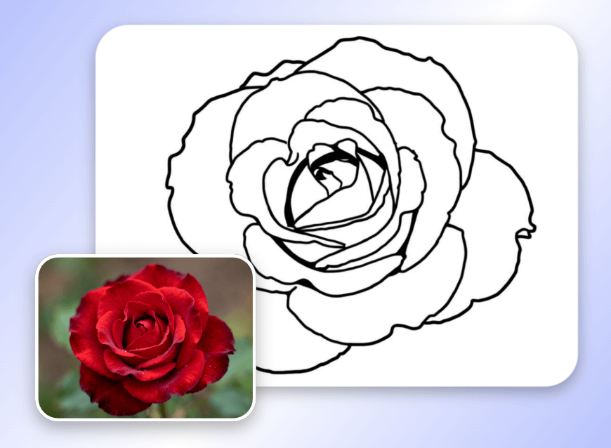 Turn a flower photo into a line drawing
