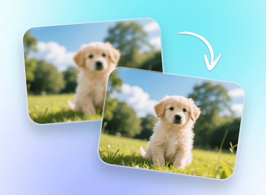 remover o desfoque da imagem de um filhote de cachorro no clipfly