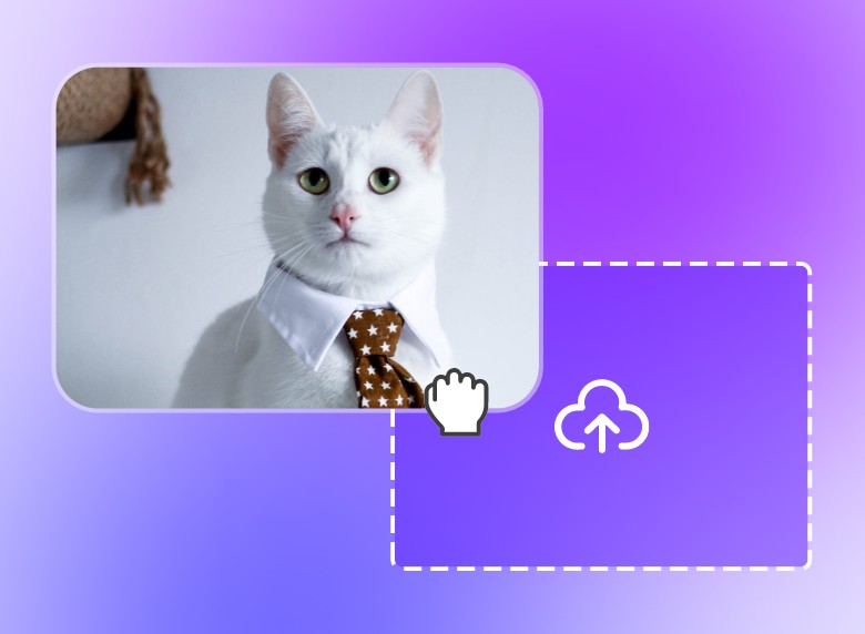 Upload a cat video to clipfly video splitter