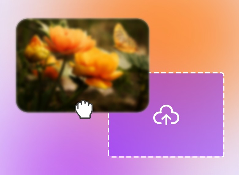 Upload a flower video to unblur using clipfly ai video unblur tool