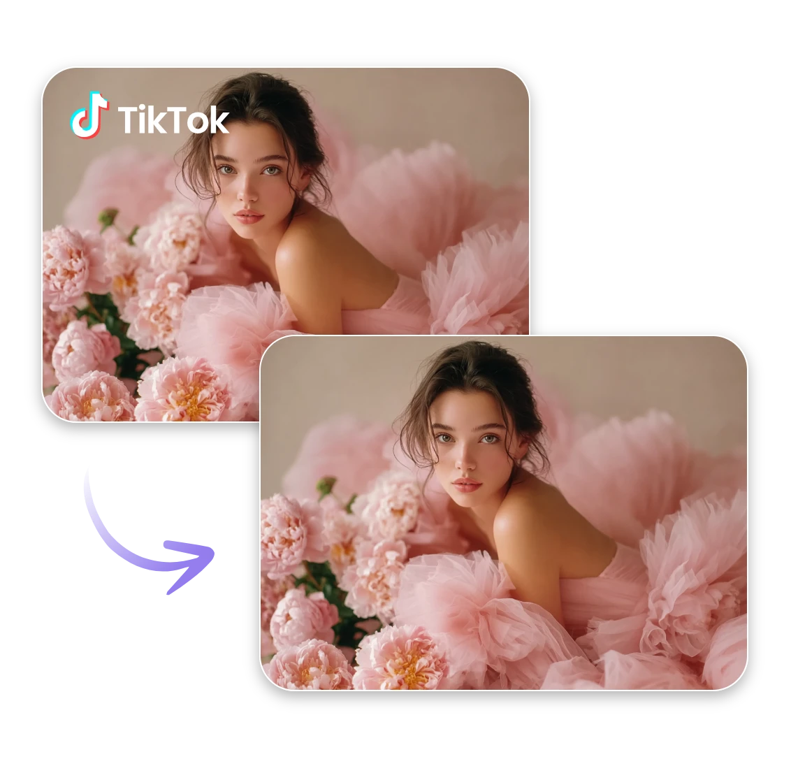 TikTok Watermark Remover