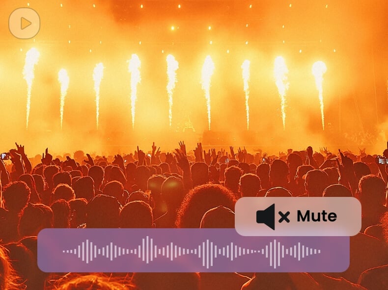 Remove Audio from Video