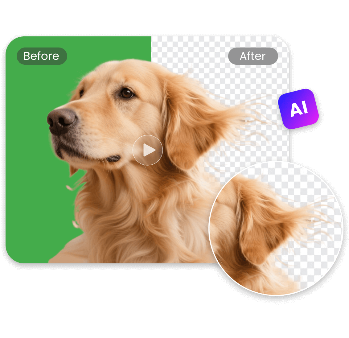 Edit the green screen video of a golden retriever dog without losing quality and keep the edges sharp