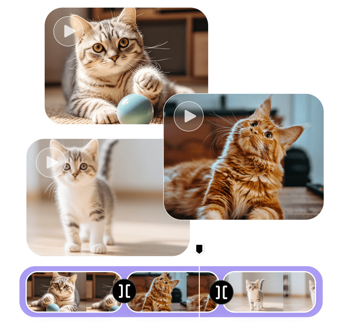 Merge three cat videos into one