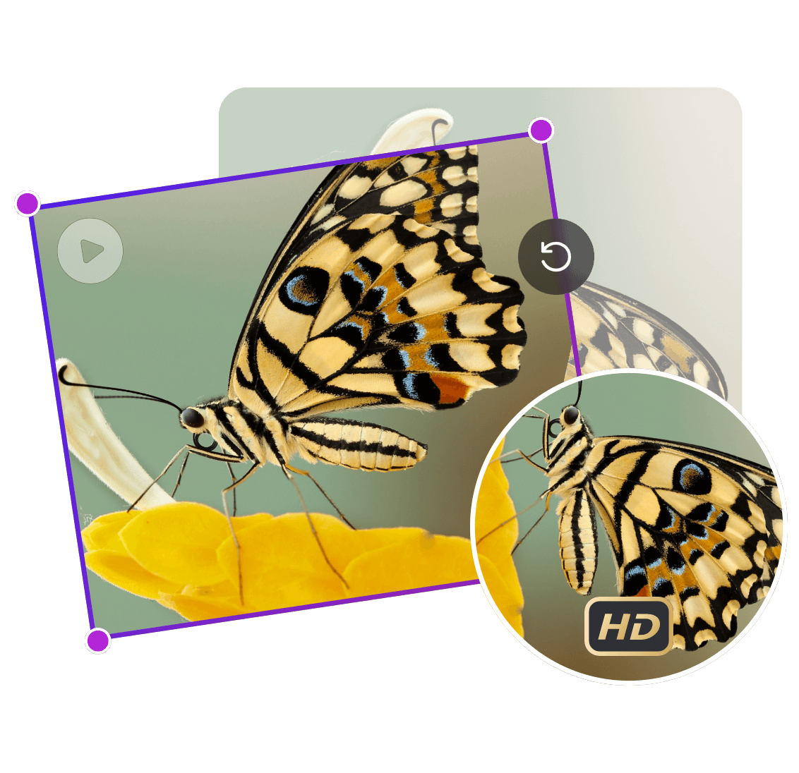 Rotate a picture of a yellow and black butterfly without losing quality