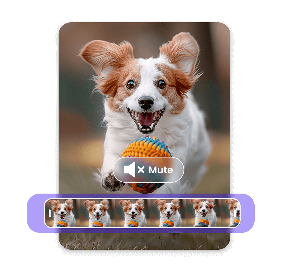 Trim and mute a video of a white and yellow dog playing with a ball