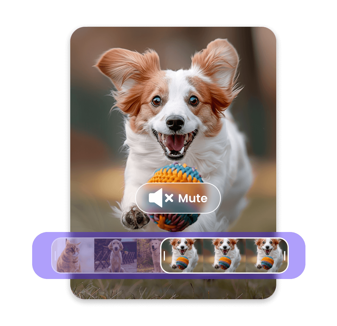 corte e silencie um vídeo de um cachorro branco e amarelo brincando com a bola