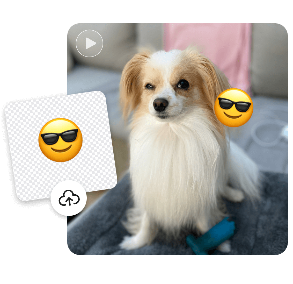 Upload an emoji wearing sunglasses then add it to a winking dog video