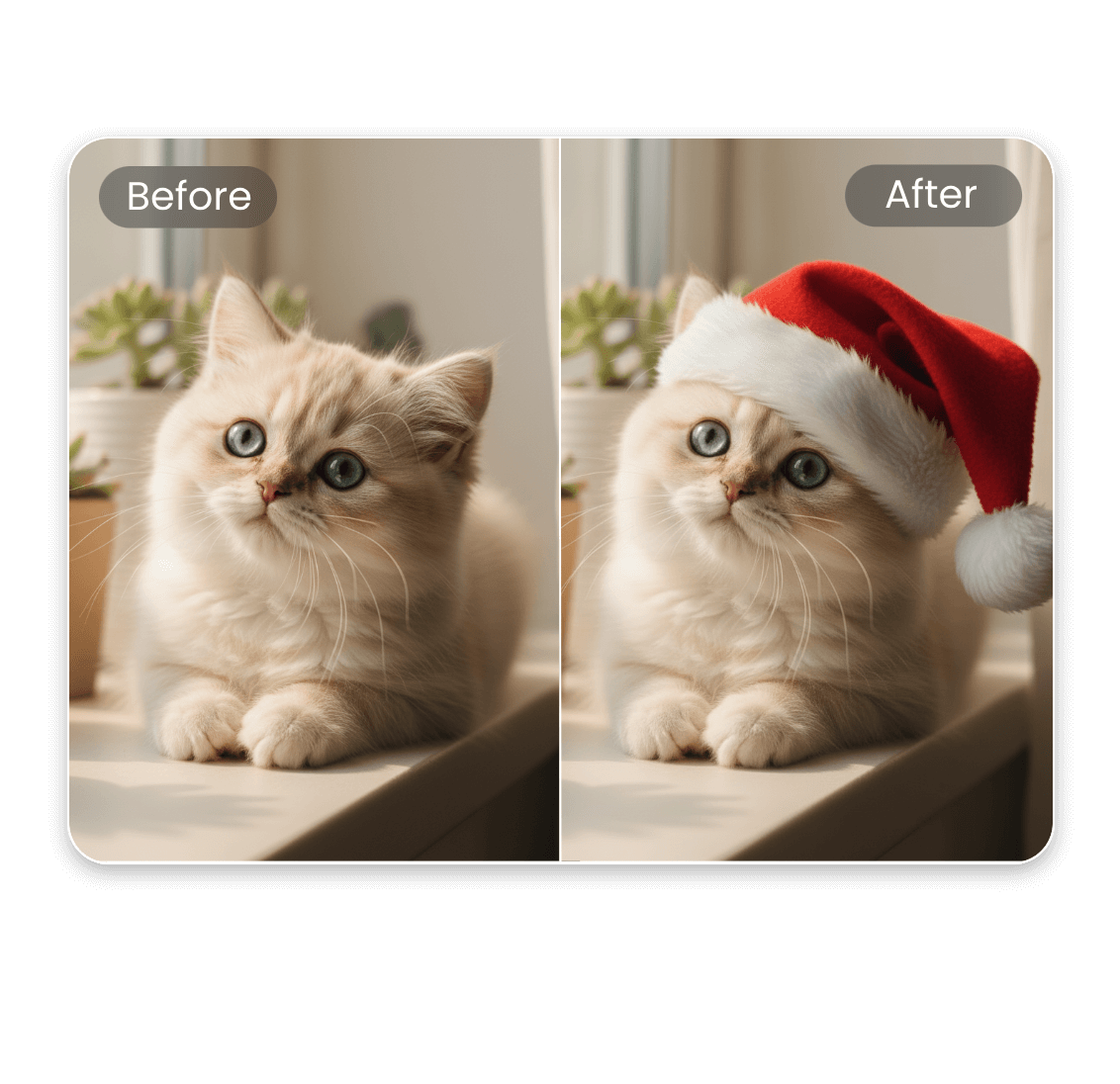 Añadir gorro de Papá Noel a una foto de gato