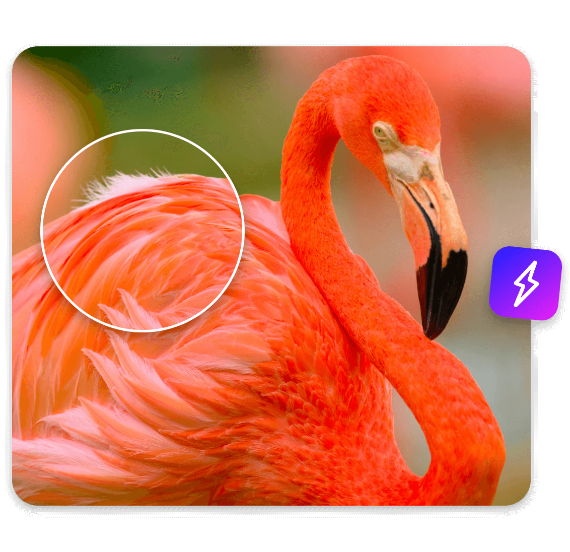 An elegant flamingo image in high resolution generated by nano banana 2 ai image generator