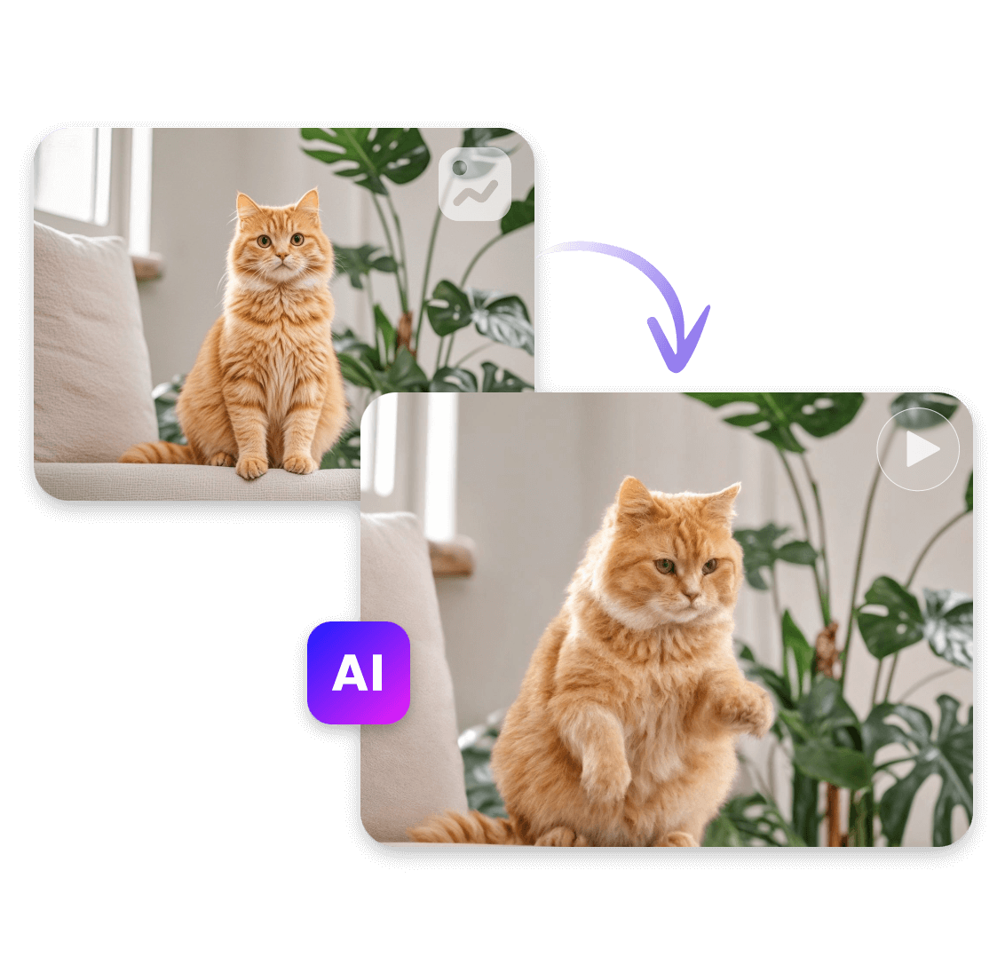 Animate a photo of an orange cat in clipfly