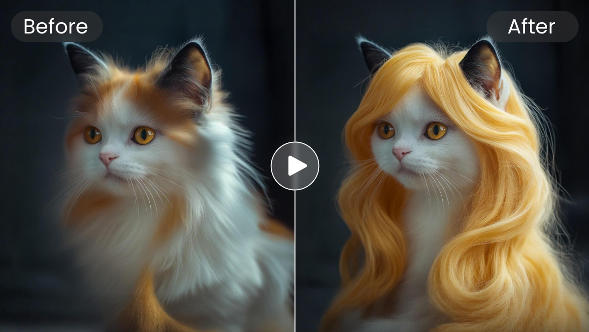 Change a photo of a cat to long gold hair