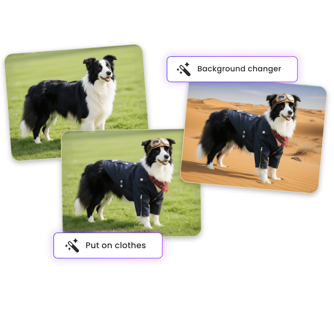 Change clothes and background for the dog portrait with clipfly free onbline gempix ai image editor