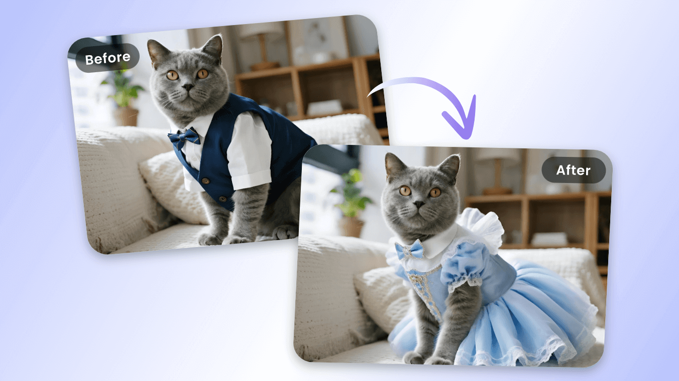 Change the suit of a cat in a photo to a princess dress