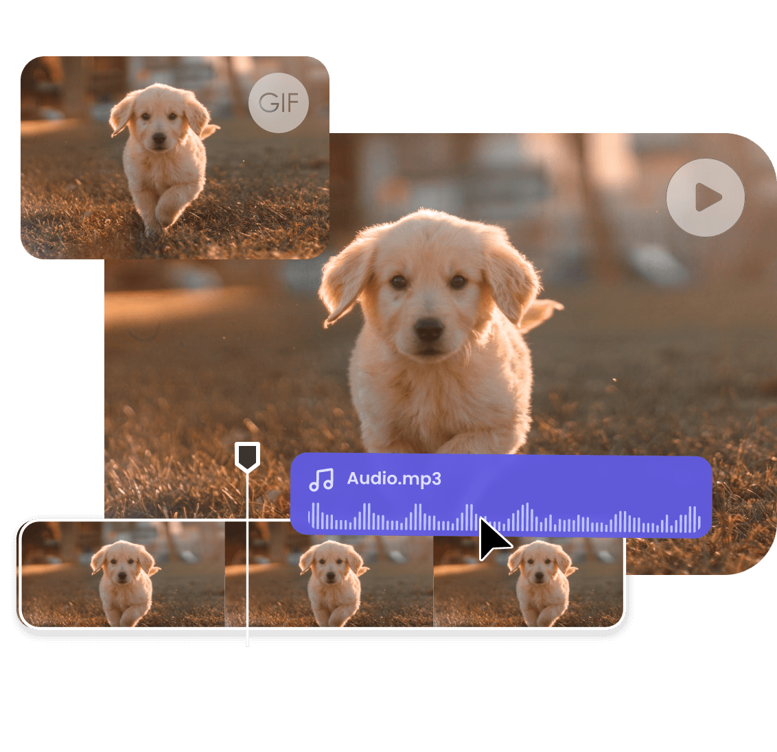Convert an mp4 video of a running dog to gif and add audio to it
