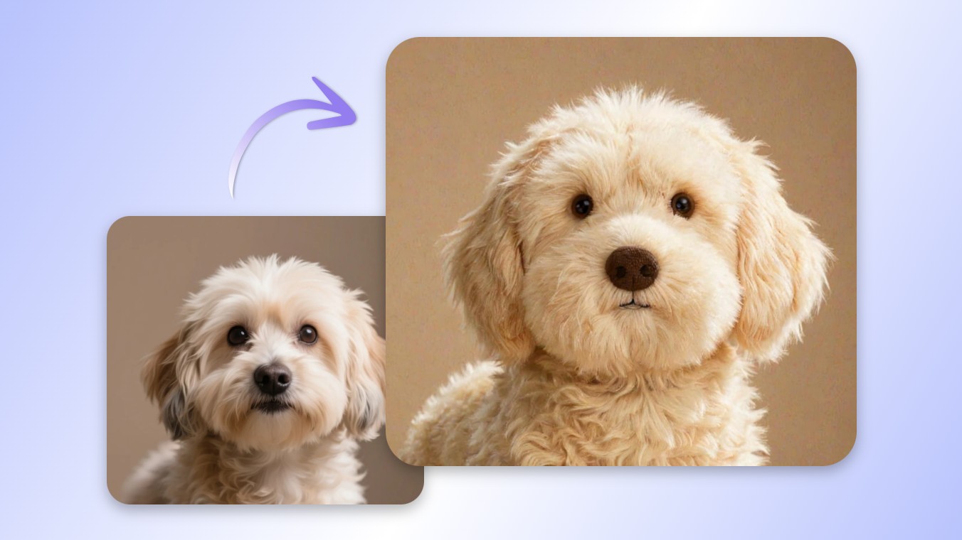 Convert pet into fluffy toy with Clipfly