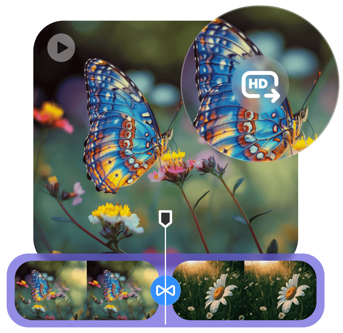 Create a high quality social media video of colorful butterfly on flowers