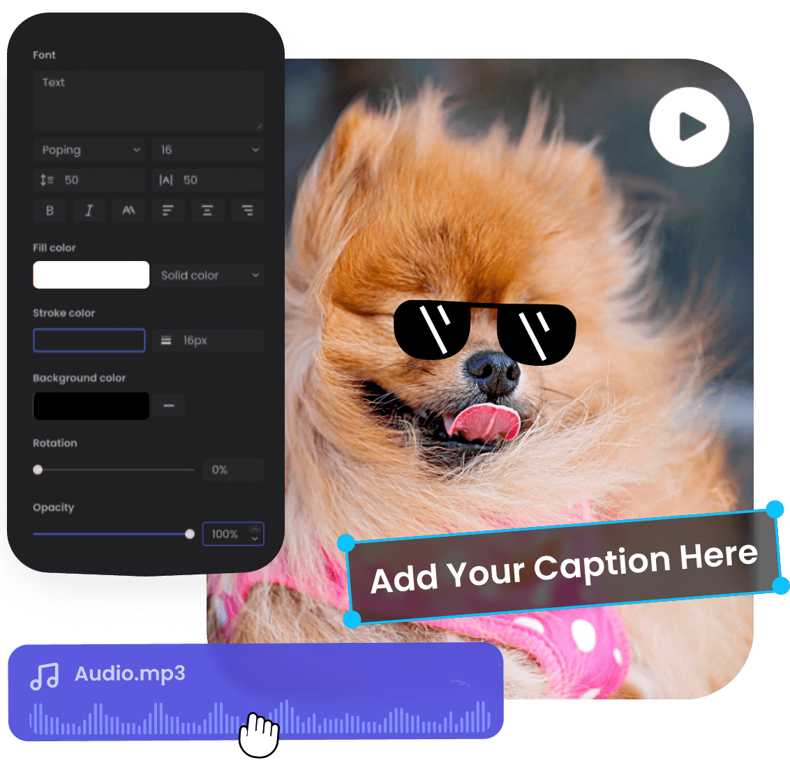 Edit a meme video of a dog wearing sunglasses