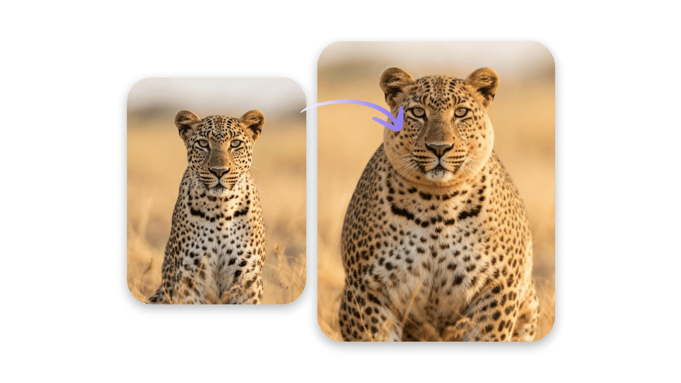 Fatify a leopard with clipfly weight gain ai