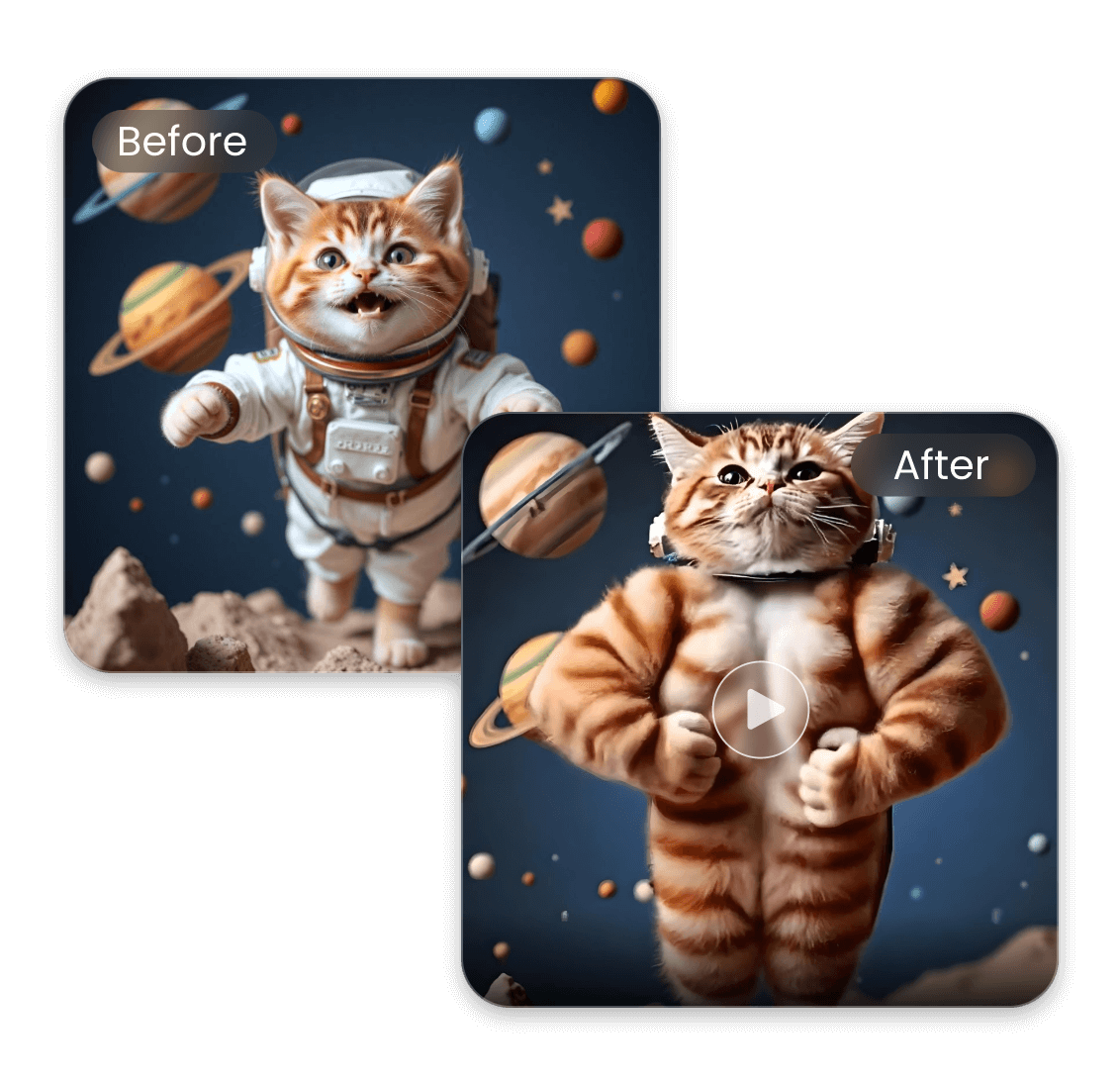 Gere um vídeo de crescimento muscular de um gato astronauta com IA