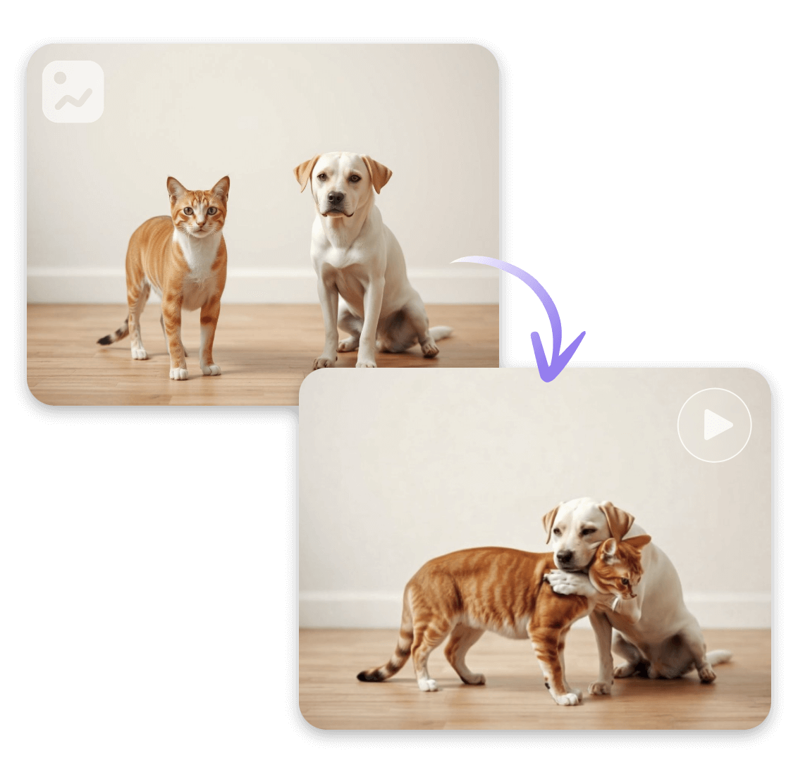 Make a cat and a dog hug video from a photo