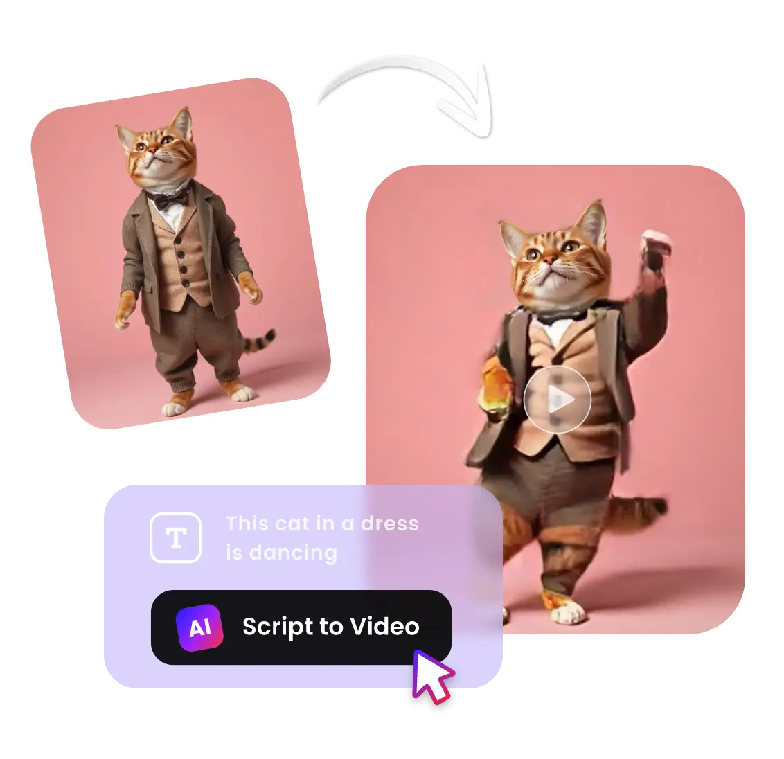 Make an ai cat meme dance in clipfly ai dance generator
