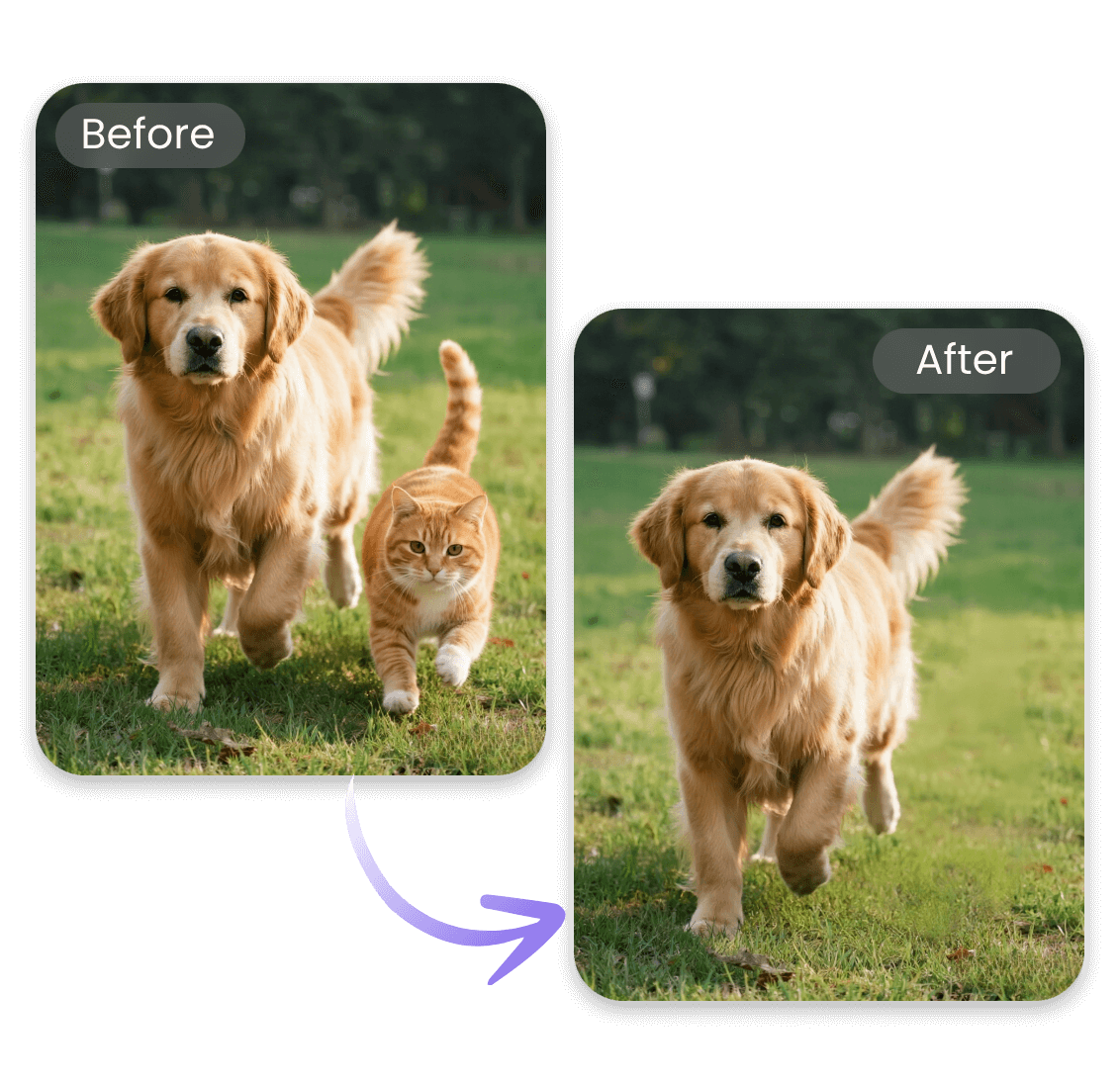 One click image smart ai object removal