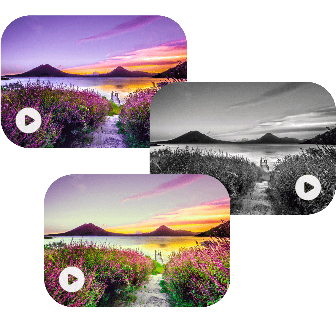 Otimize um vídeo de pastagem com diferentes filtros
