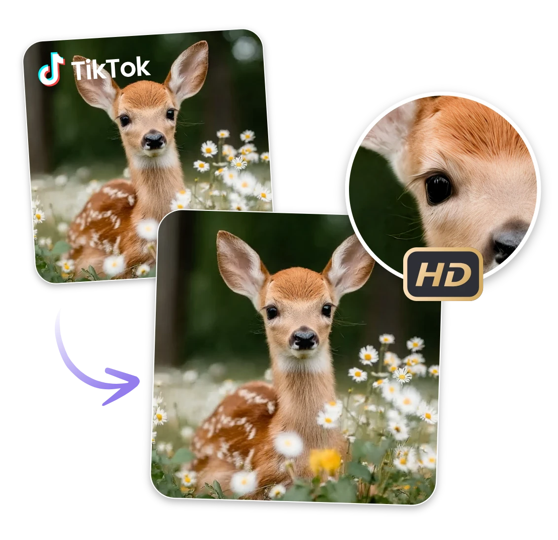 Remove Tik Tok watermark without blur in high definition