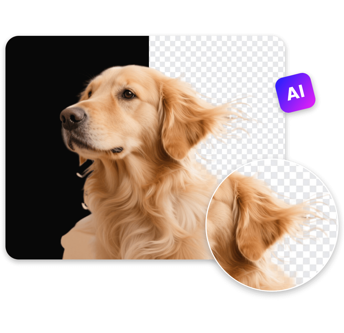 Remove black background from a photo of a dog with ai